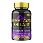 BSYS SHILAJIT GUMMIES 60'S Vital