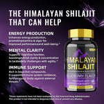 BSYS SHILAJIT GUMMIES 60'S Vital