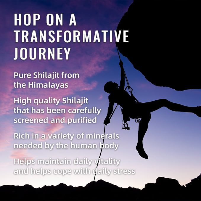 BSYS SHILAJIT GUMMIES 60'S Vital