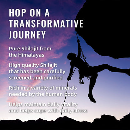 BSYS SHILAJIT GUMMIES 60'S Vital