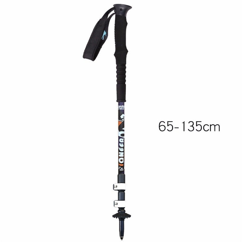 Aluminium Ski Poles - Vital