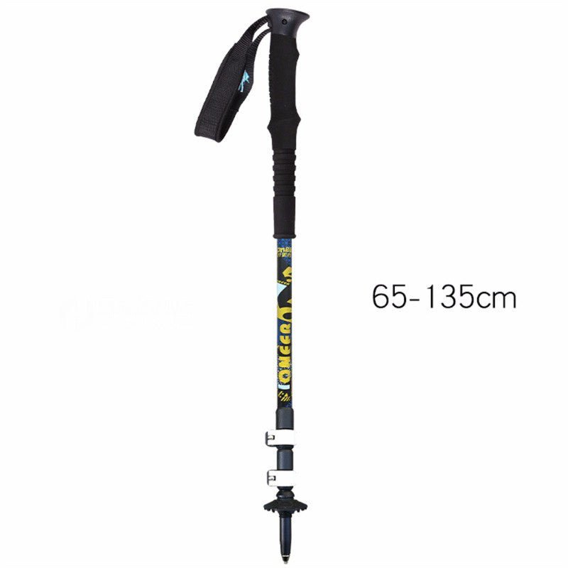 Aluminium Ski Poles - Vital