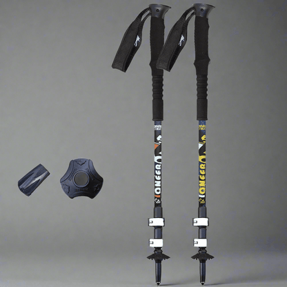 Aluminium Ski Poles - Vital