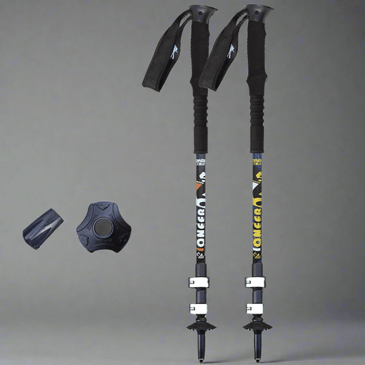 Aluminium Ski Poles - Vital