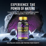 BSYS SHILAJIT GUMMIES 60'S Vital
