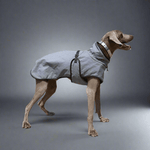 Pet Shell Jacket Dog Winter Outdoors Ski Suit - Vital