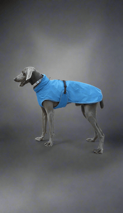 Pet Shell Jacket Dog Winter Outdoors Ski Suit - Vital