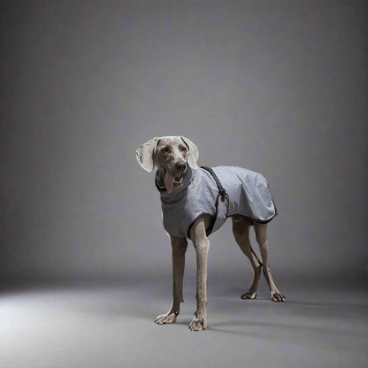 Pet Shell Jacket Dog Winter Outdoors Ski Suit - Vital