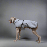 Pet Shell Jacket Dog Winter Outdoors Ski Suit - Vital