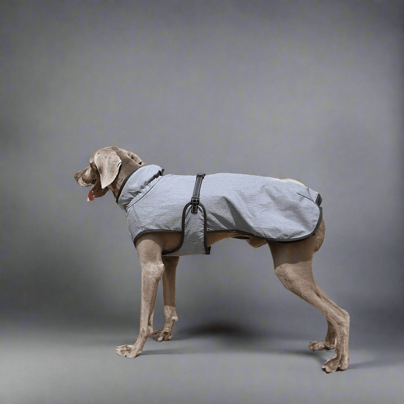Pet Shell Jacket Dog Winter Outdoors Ski Suit - Vital