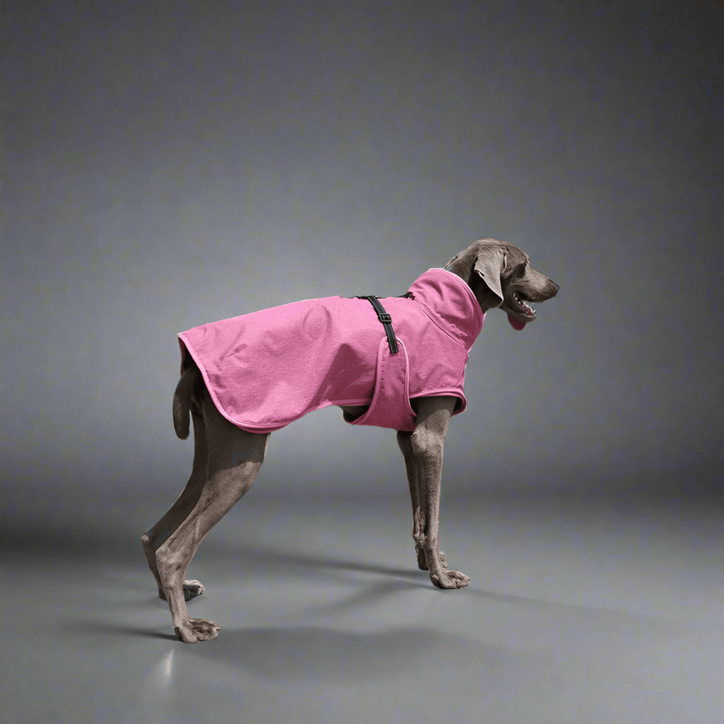Pet Shell Jacket Dog Winter Outdoors Ski Suit - Vital