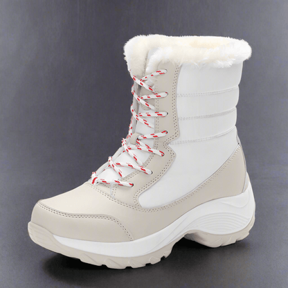 Plus velvet high - top women's shoes waterproof snow boots - Vital