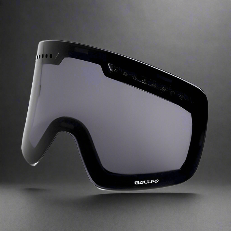 Ski goggles double ski goggles - Vital