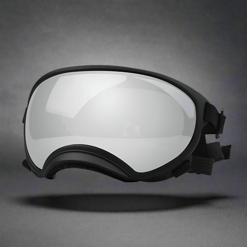 Ski Pet Dog Wind Protection Goggles - Vital
