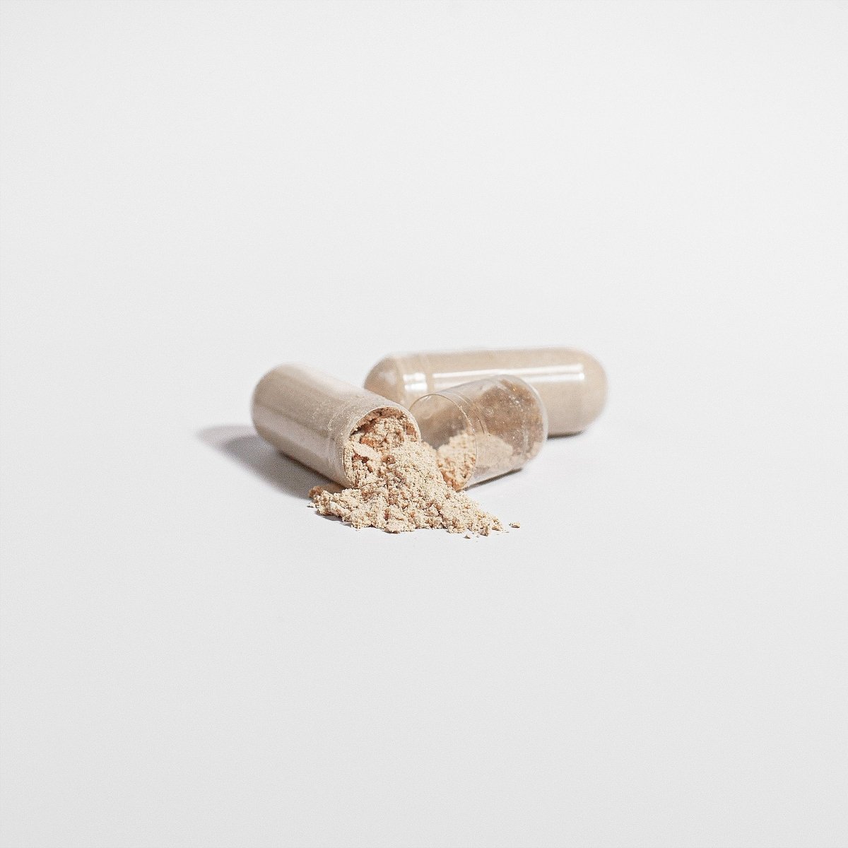 Vital | Organic Focus: Lion's Mane Mushroom - Vital